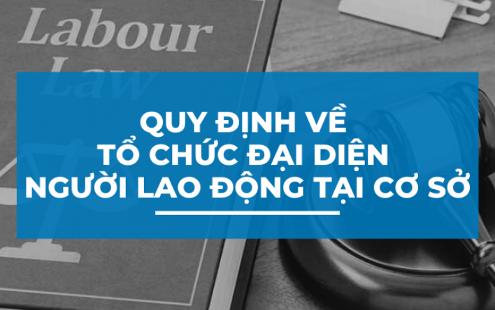 CẢNH GIÁC, ĐẤU TRANH ÂM MƯU NÚP BÓNG “TỔ CHỨC ĐẠI DIỆN...